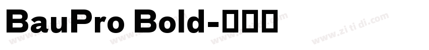 BauPro Bold字体转换